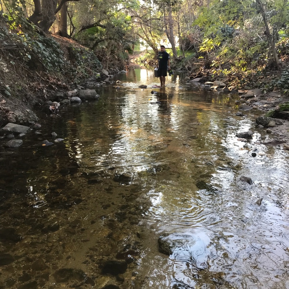 Meet your Posher, Karina